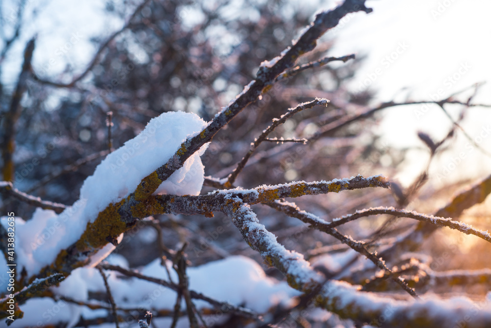 Winter. Snow. Sky.