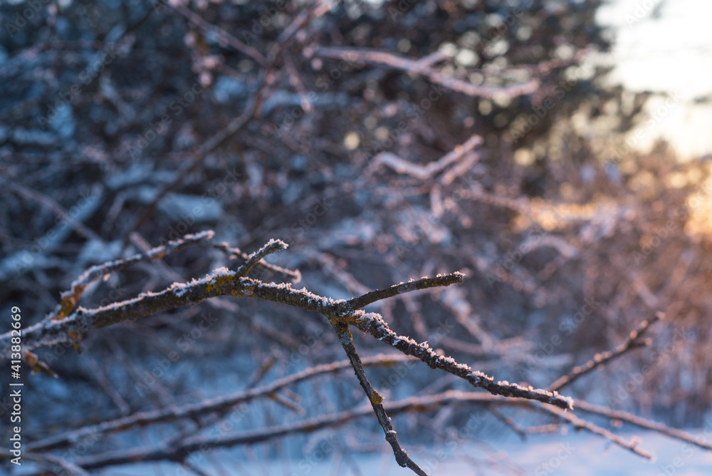Winter. Snow. Sky. Winter. Snow. Sky.
