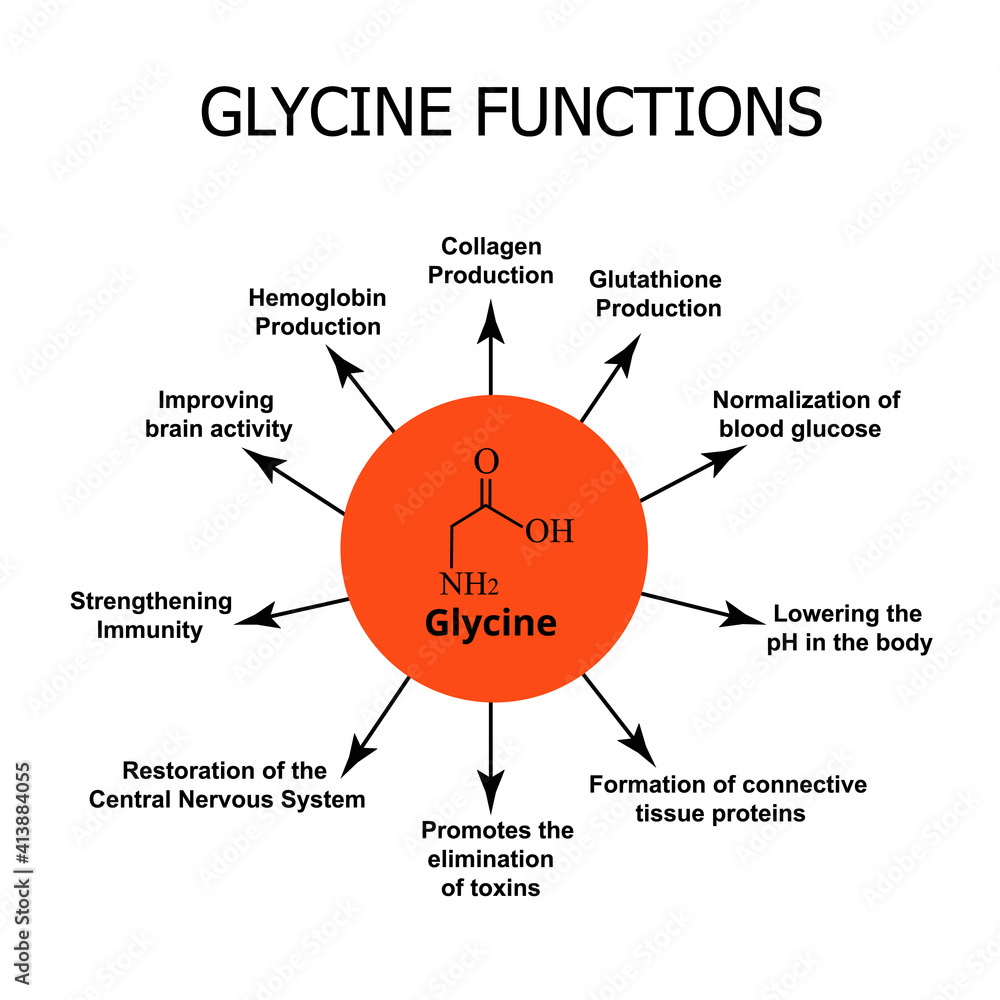 The functions of glycine. Amino acid glycine chemical molecular formula