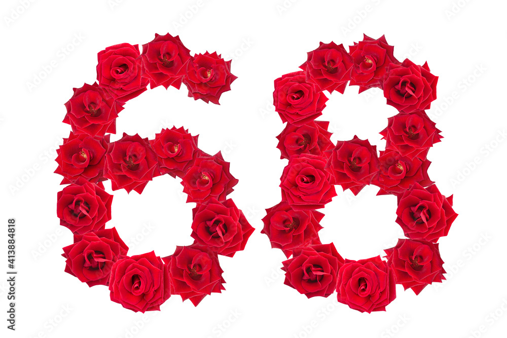 Numeral 68 made of red roses on a white isolated background. Element for decoration. sixty eight. Red roses. Numeral 68 made of red roses on a white isolated background. Element for decoration. sixty eight. Red roses.