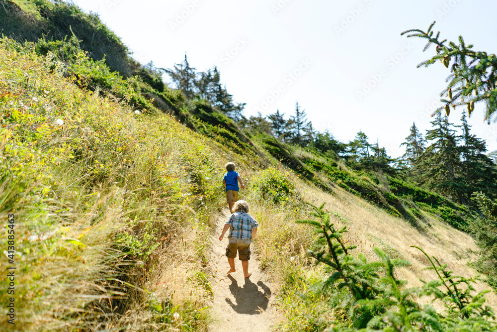 Rear view of brothers walking on trail against clear sky at Fort Ebey State Park Rear view of brothers walking on trail against clear sky at Fort Ebey State Park