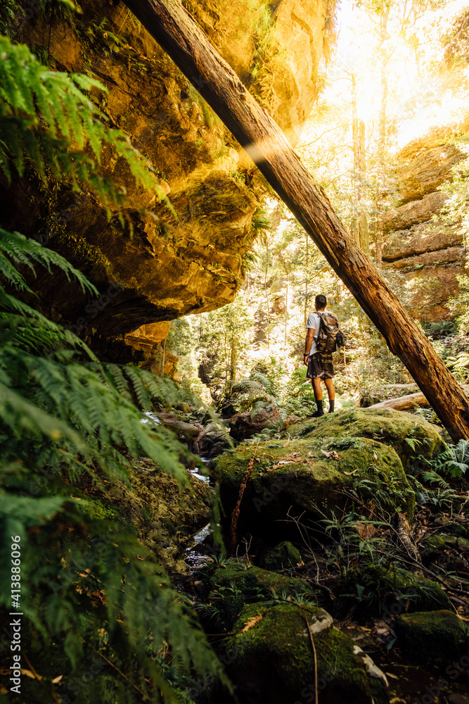 Rear view of male hiker with backpack standing by rock formation in forest Rear view of male hiker with backpack standing by rock formation in forest