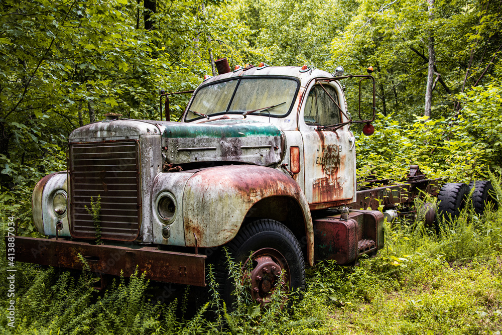 rusty truck in the weeds