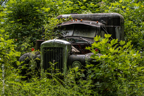 rusty truck in the woods