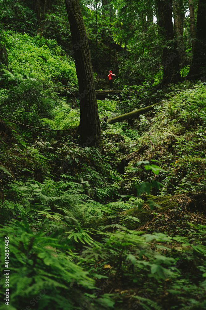 Distant view of woman with arms outstretched standing on log in forest Distant view of woman with arms outstretched standing on log in forest
