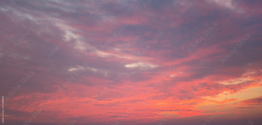 Purple-pink sunset in the sky, clouds. Summer time. Background, copyspace