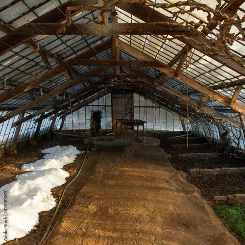 inside of a dark greenhouse with vines and snow on the roof and some snow brought inside in Overijse, Belgium
