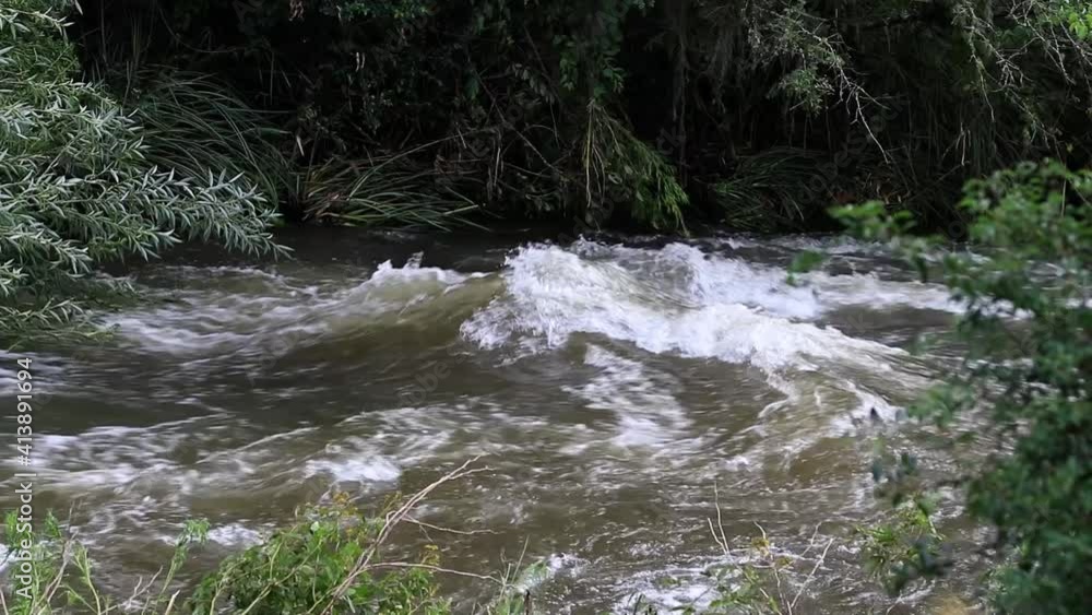 Rio com corredeira e floresta Rio com corredeira e floresta