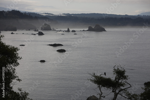 The rocks at Luffenholtz Beach as seen from Trinidad, California. Raven perched in a tree. photo