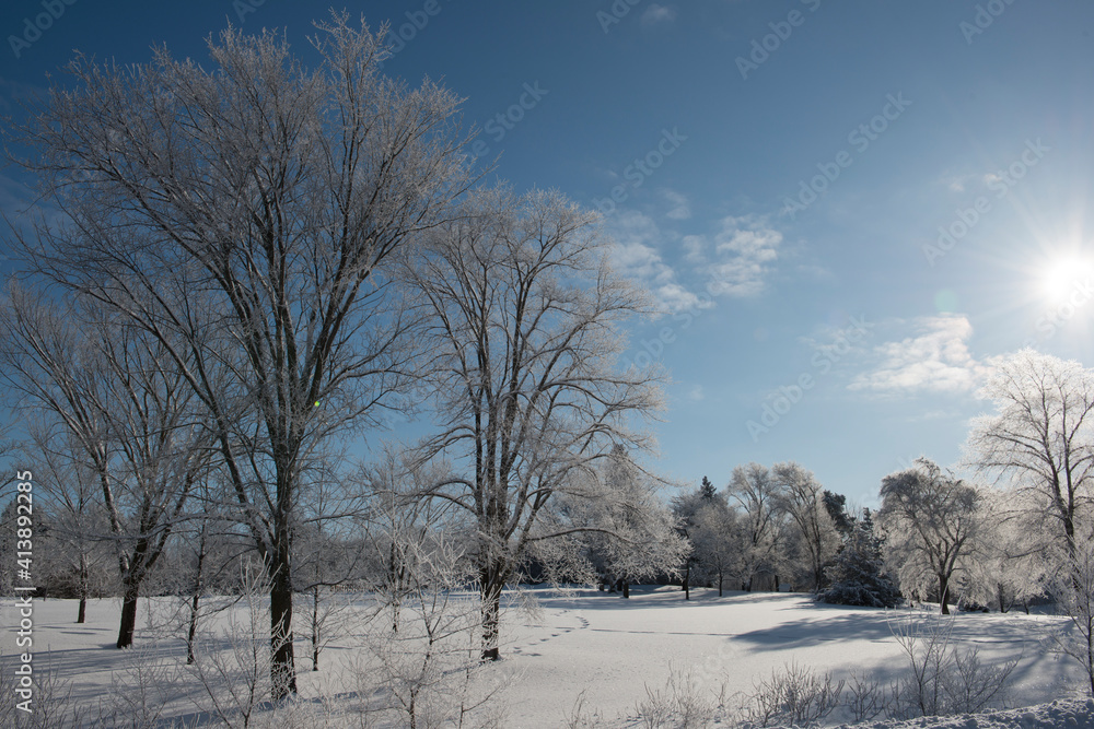Beautiful Frost Covered Trees on Winter Morning Beautiful Frost Covered Trees on Winter Morning