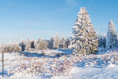 Wallpaper Mural Neige recouvrant des sapins en montagne Torontodigital.ca