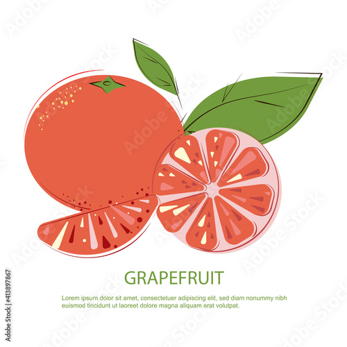 Grapefruit Slices and whole Pink Grapefruits. Pink Grapefruit. Juicy Grapefruit with Green Leafs.