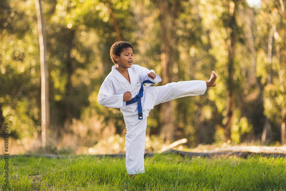 Boy practicing karate on grassy field at park Boy practicing karate on grassy field at park