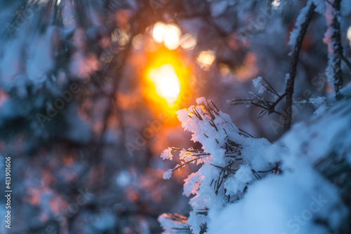 Winter. Snow. Sky.