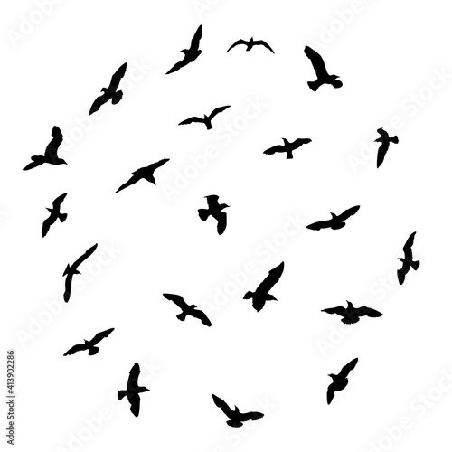 Silhouette set of flying seagulls birds on white background. Inspirational body flash tattoo ink of sea birds. Vector.