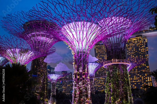 Solar-powered supertrees at dusk in Gardens By The Bay, Singapore. photo