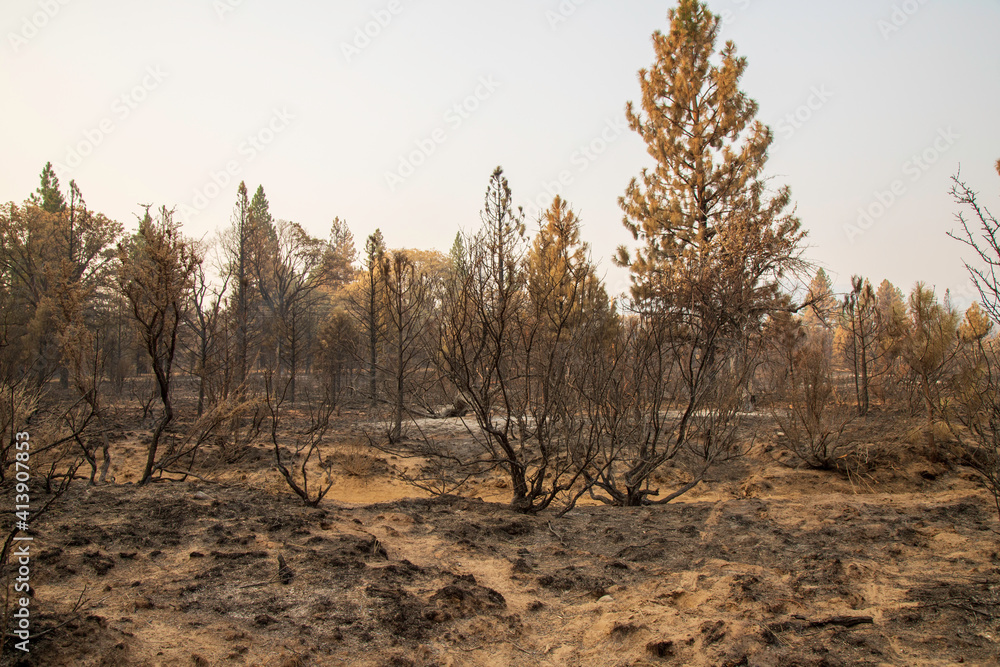 Desolation from the Sheep Fire in Lassen County, Northern California, USA. Desolation from the Sheep Fire in Lassen County, Northern California, USA.