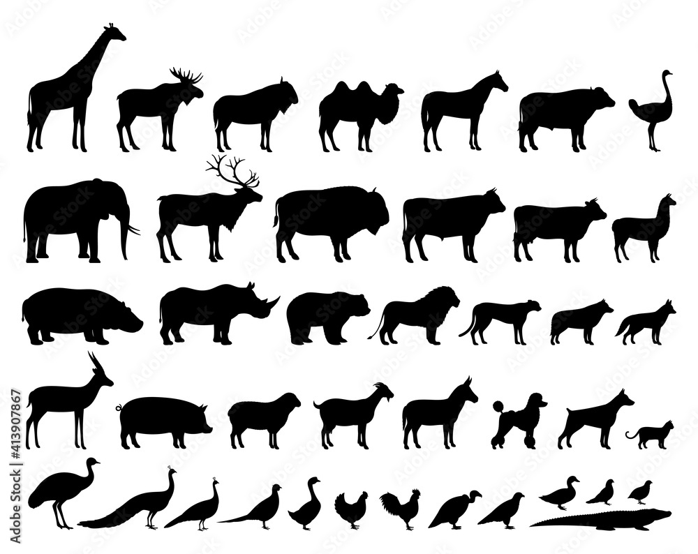Fototapeta premium Vector domestic and wild animals silhouettes collection. Livestock and poultry icons. Herbivore and carnivore, predators and prey