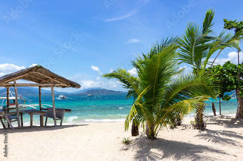 Tropical paradise beach in the Philippines. White sandy beach with palm tree and turquoise sea. Summer holidays and spa concept background © Вера Тихонова