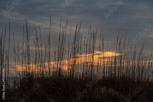 orange sky behind the grass