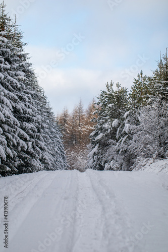 winter landscape with snow © Sławomir Bodnar