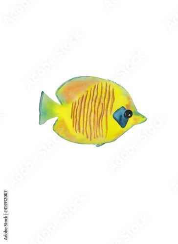 Watercolor hand drawn hand painted yellow fish illustration. High resolution, 300 DPI. Sea and ocean life