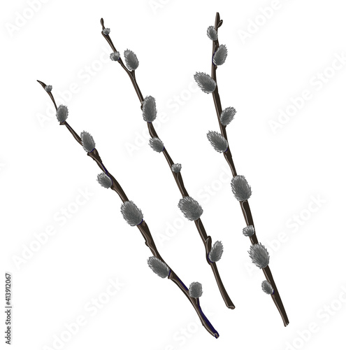 Set of 3 pussy willow branches in cartoon style. Stock vector illustration isolated on a white background.