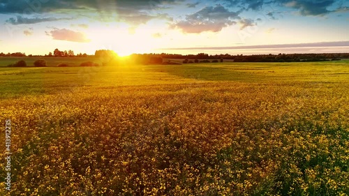 Beautiful nature, aerial drone lateral motion view on rural countryside landscape with blooming canola oilseed orange yellow field, shining sun rays, sunset sky horizon