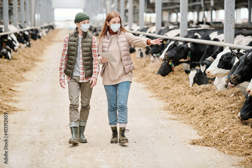 Female worker of animal farm and her son walking along paddocks with cows © pressmaster