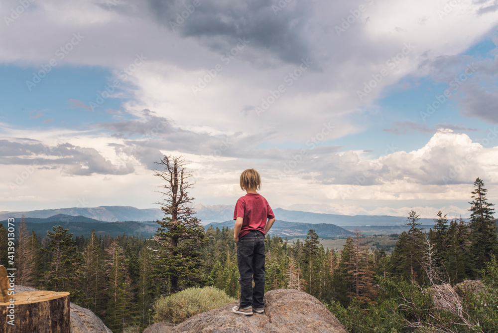 Rear view of boy looking at landscape while standing on rock against cloudy sky in forest Rear view of boy looking at landscape while standing on rock against cloudy sky in forest