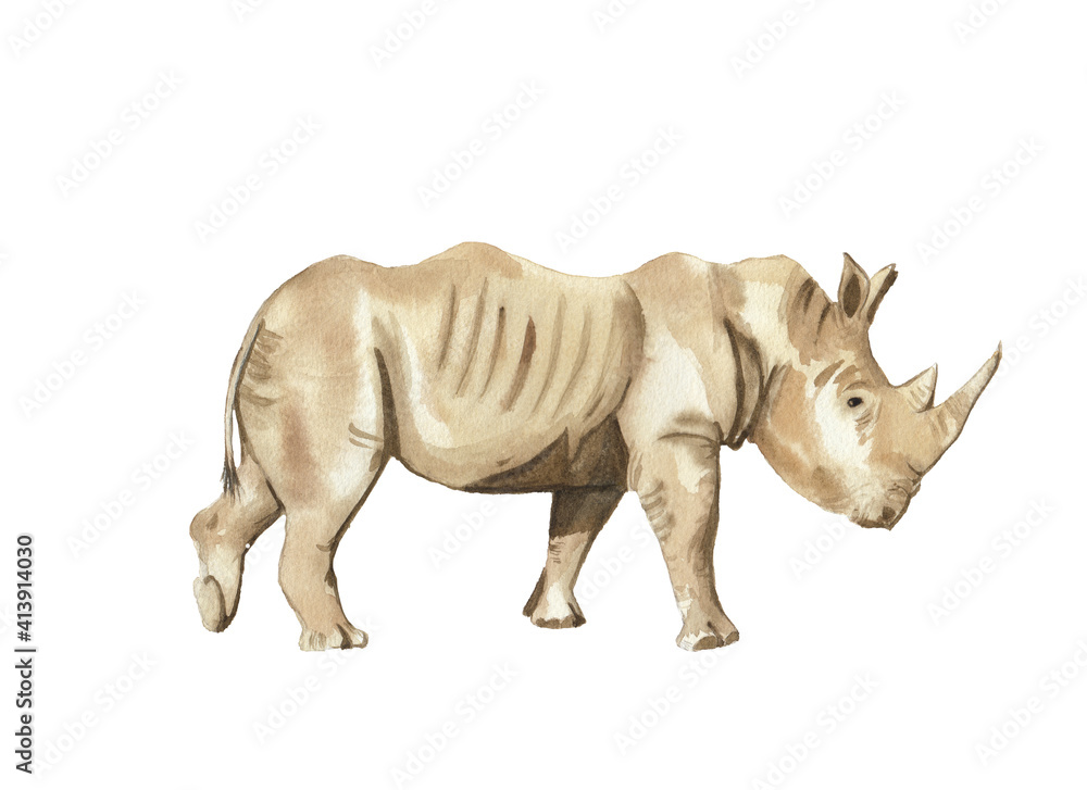 Obraz premium Rhino illustration isolated on white. Watercolor hand drawn hand painted safari animal illustration. Rhinoceros. Jungle, savannah animal. Nursery, baby shower, greeting card. 