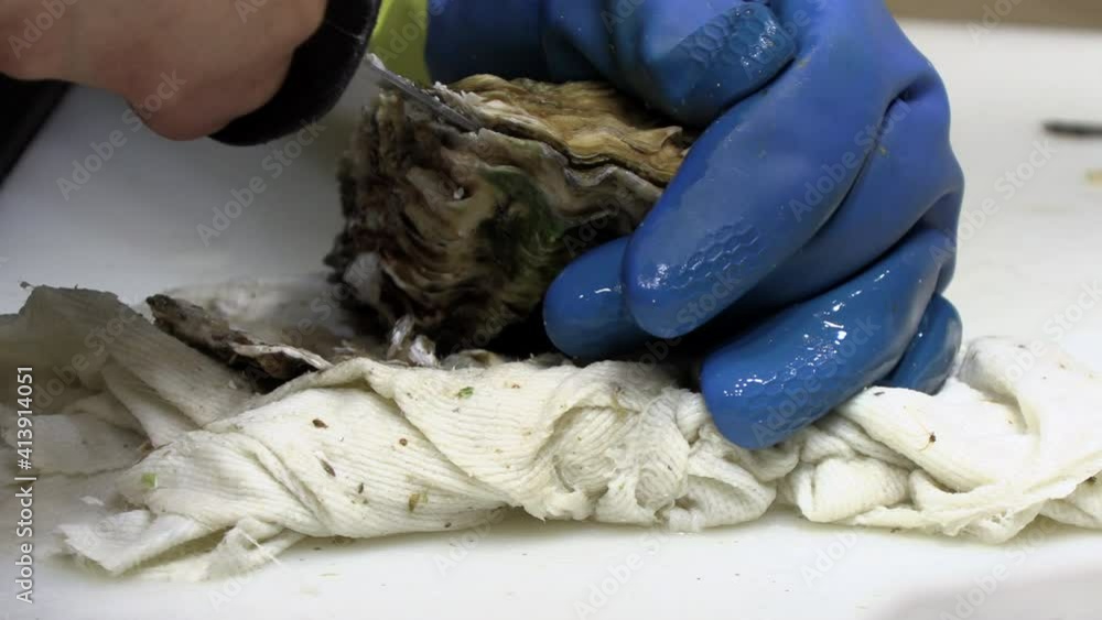 Opening oyster shell with the oyster knife. How to open oyster shell