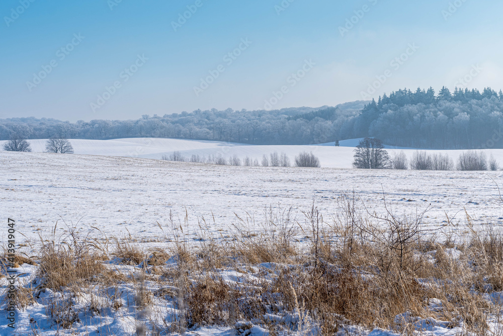 landscape with meadows and forest in the background, winter time