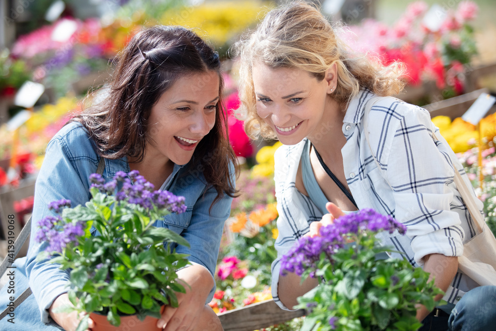 women are buying flowers in the market