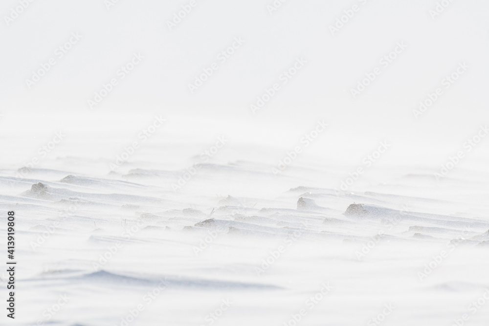 Beautiful winter background with snowy field. Natural winter texture. Beautiful winter background with snowy field. Natural winter texture.