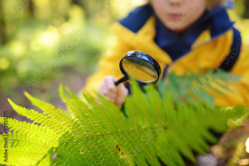 Preschooler boy is exploring nature with magnifying glass. Little child is looking on leaf of fern with magnifier. Summer vacation for inquisitive kids in forest. Hiking. #413925201