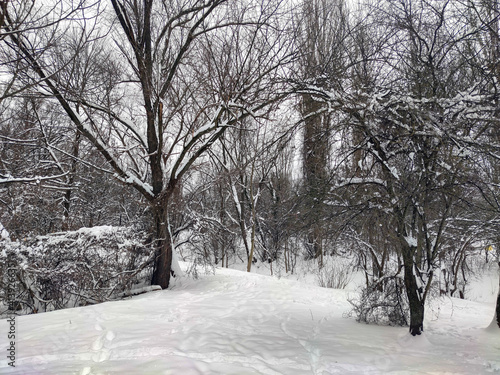 Winter view of South Park in city of Sofia, Bulgaria