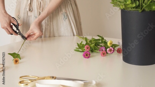 Mujer cortando el pedúnculo de una flor fucsia. Flores sobre la mesa