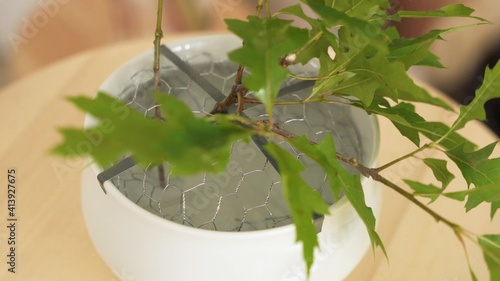 Hojas de plantas cubriendo una jarra con alambres