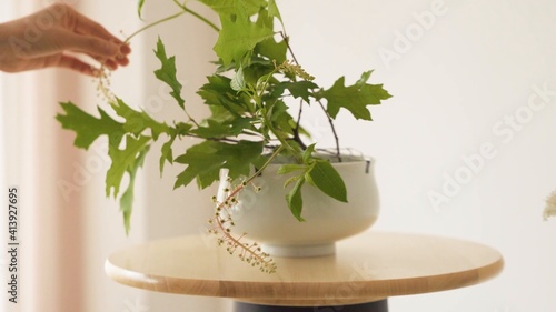 Mujer agarrando hojas de plantas de un masetero