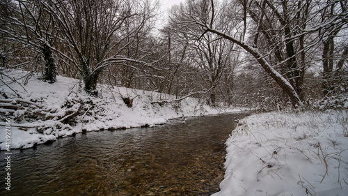 Winter river with snow and forest