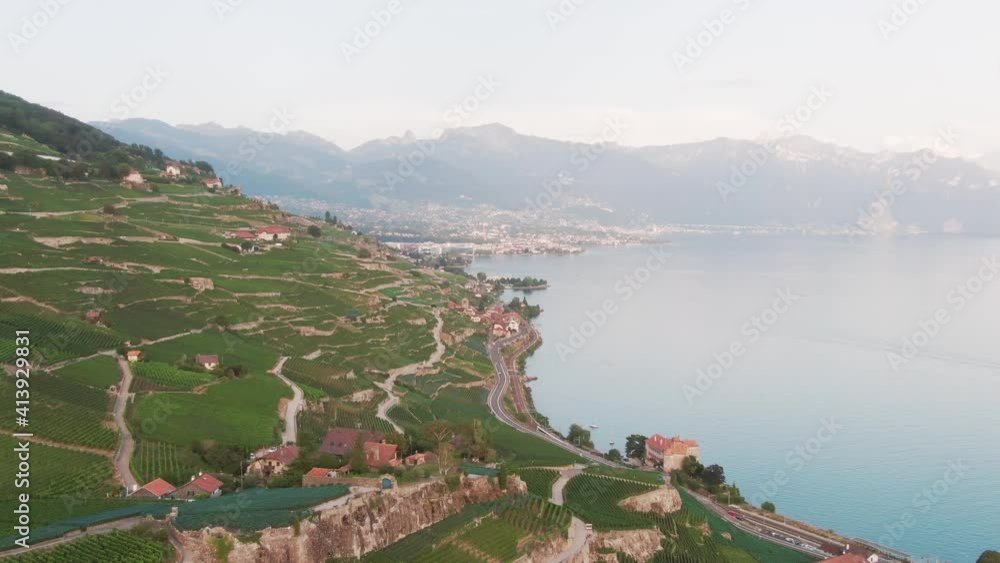 vineyards along lake geneva with the city of montreux, switzerland in the background vineyards along lake geneva with the city of montreux, switzerland in the background