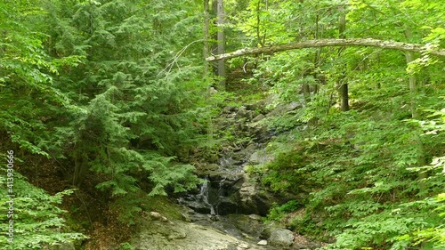 A small creek in the Outaouais region, Quebec, Canada, wide shot tilt down photo