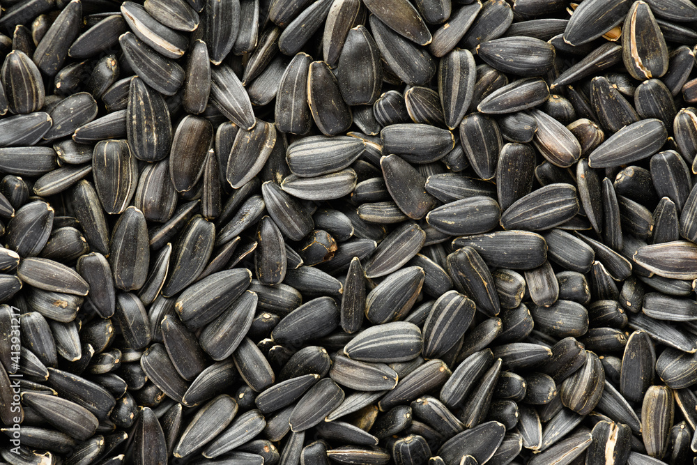 sunflower seeds background, closeup of roasted seeds sunflower seeds background, closeup of roasted seeds