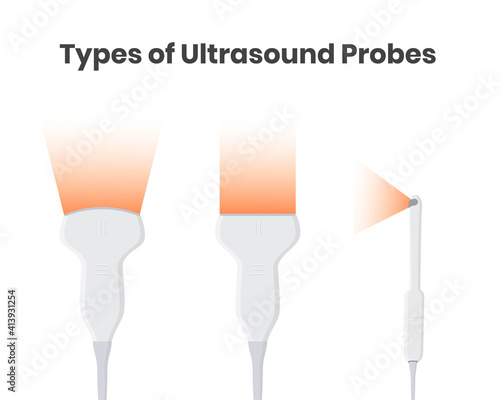Types of ultrasound tranducers: convex, linear and encocavitary probes