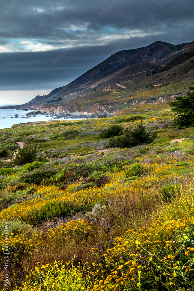 dramatic landscape photo of Big Sur,California during summer.