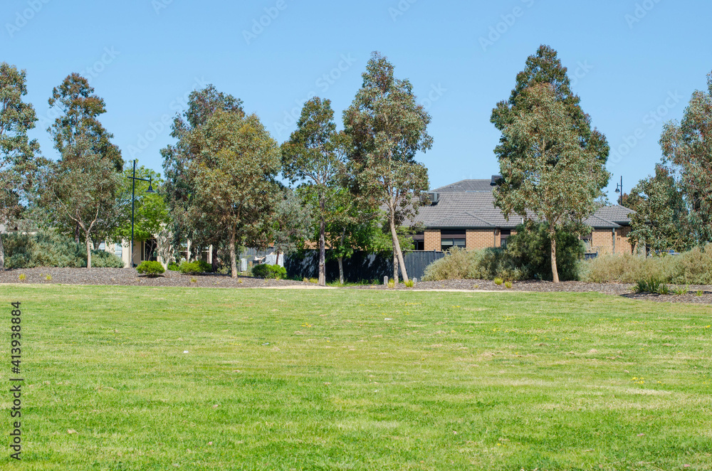 Background texture of gum trees and green grass lawn in a local park with some Australian suburban residential houses in the background. Copy space for text.