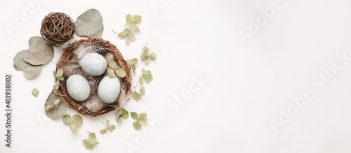 Blue eggs in a genuine bird nest on white background with generous accommodation for copy space. Shot with differential focus.