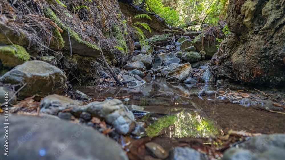 Beautiful landscape, bed of a mountain river with reflection and a stream of clear water in the shade of trees in a California forest