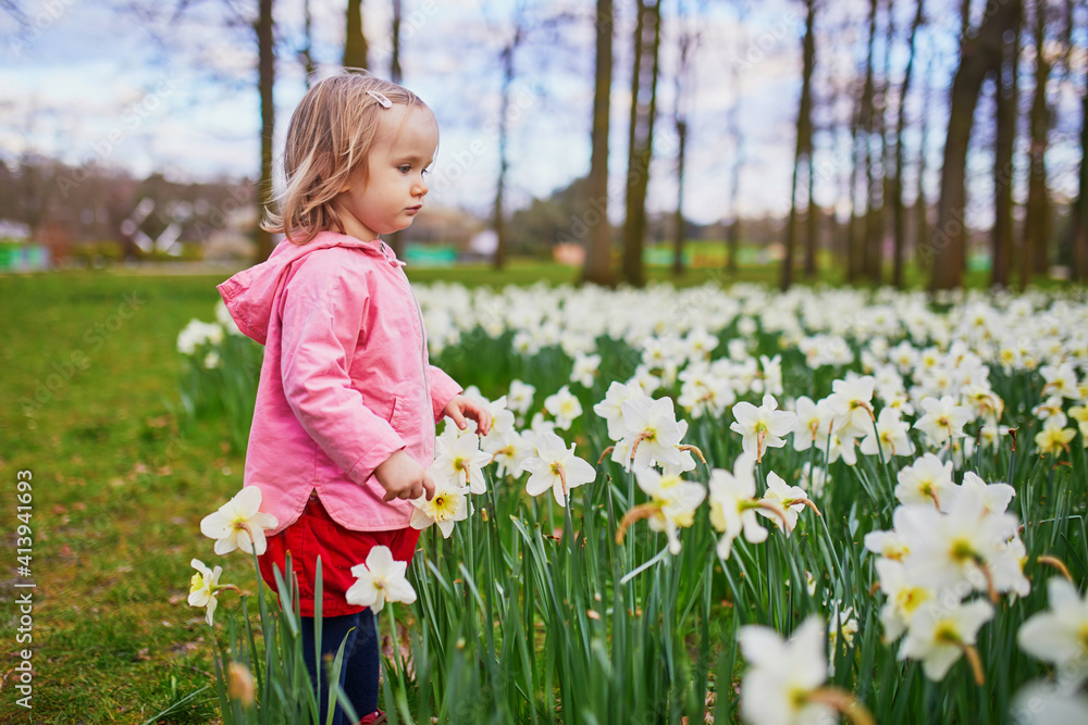 Adorable toddler girl walking in the field with blooming jonquils Adorable toddler girl walking in the field with blooming jonquils